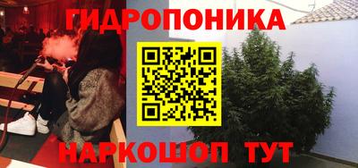 каннабис Дубна