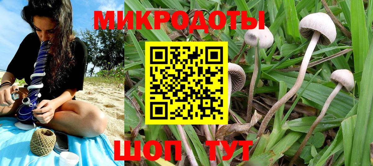Нижнекамск  Псилоцибиновые грибы GOLDEN TEACHER  Вход с VPN  Псилоцибиновые грибы ЛСД 